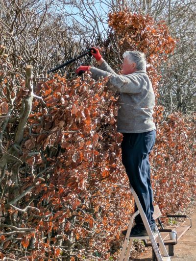 Hedgecutting